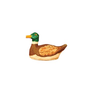 image: Duck