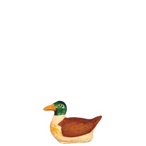 image: Canard