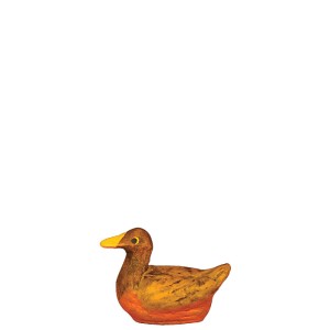 image: Female duck