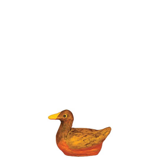 image: Female duck