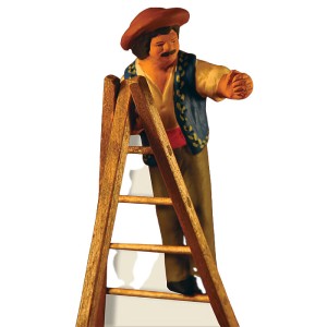 image: Olive picker on step-ladder