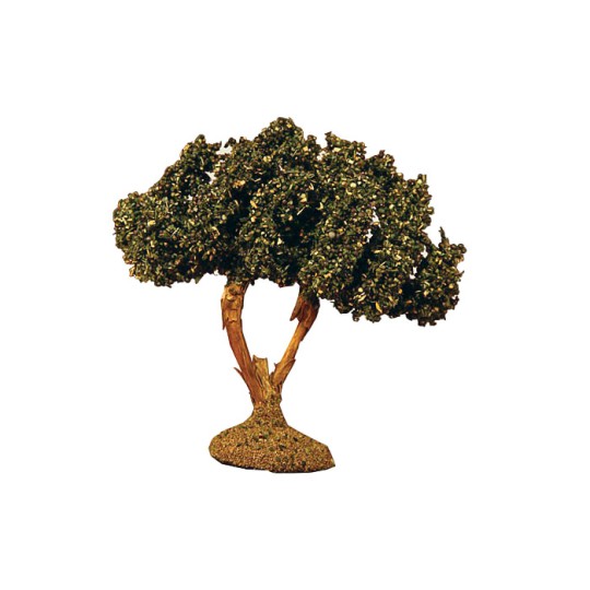 image: Olive Tree 9 cm