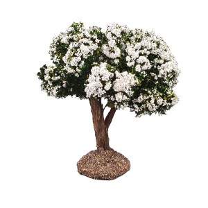 Arbre fleuri blanc