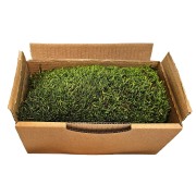 stabilized natural moss for 30 x 30 cm