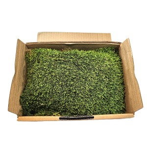 Natural stabilized light green moss for 40 x 30 cm