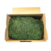 Natural stabilized dark green moss for 40 x 30 cm