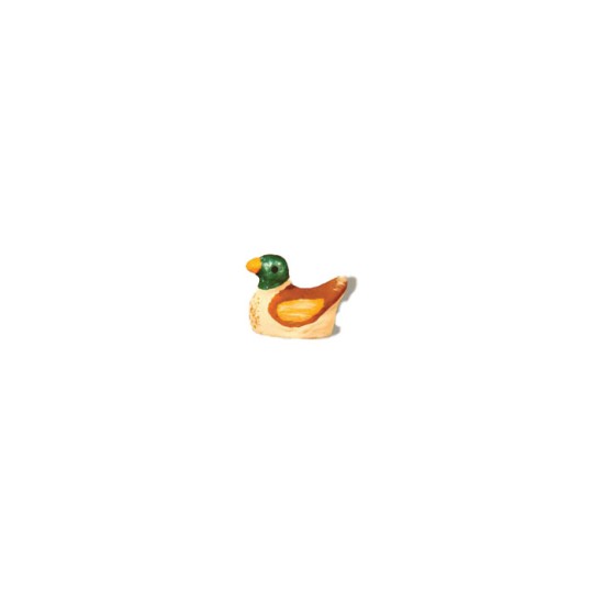 image: Duck