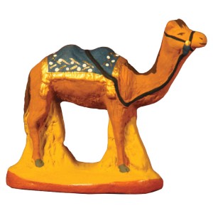 image: Camel with bleue blanket