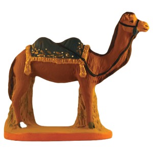 image: Camel with bleue blanket