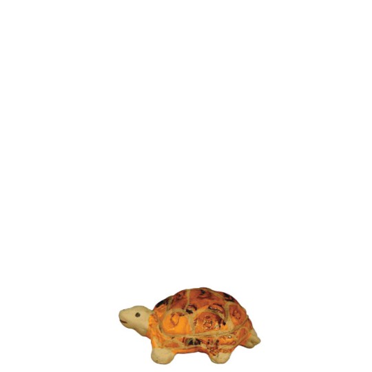 image: Turtle